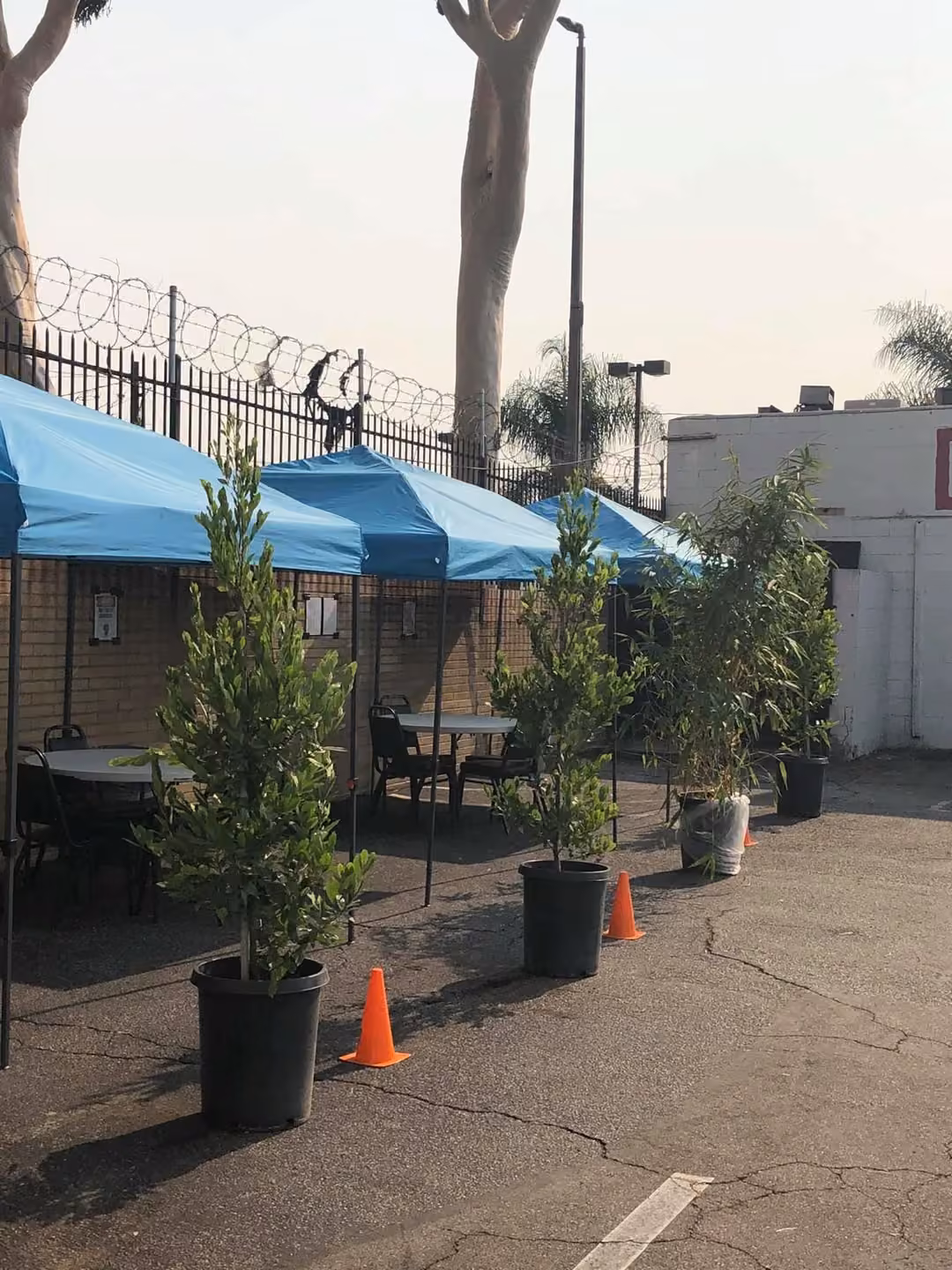 Licha’s Restaurant · outdoor seating